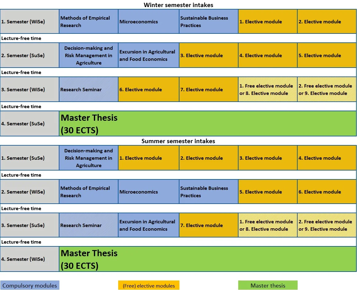 Study Plan WS25/26
