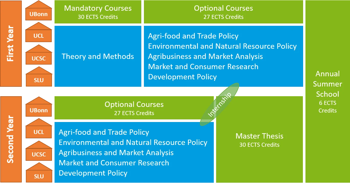 AFEPA programme structure 2023.png