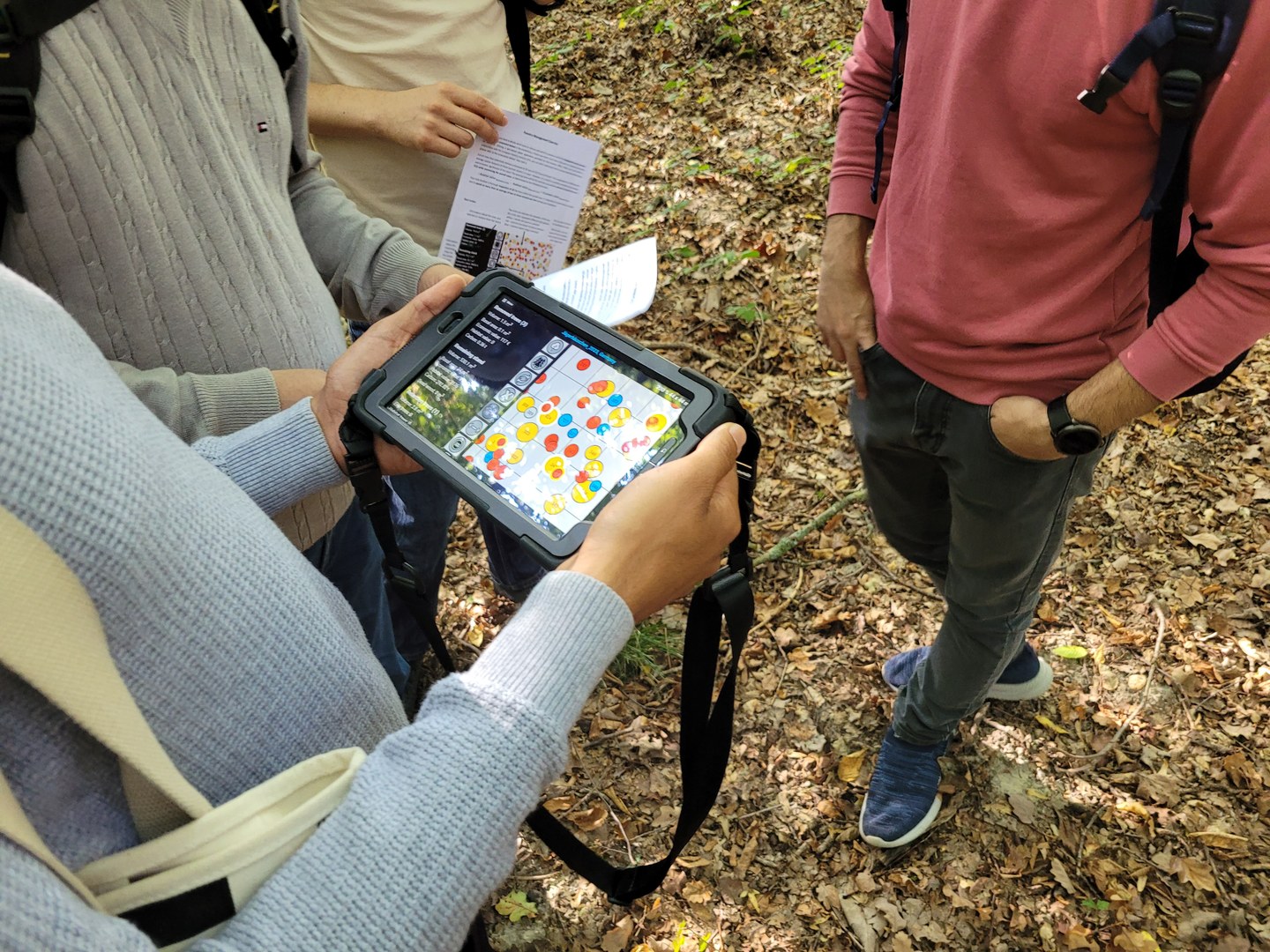 AFECO students experiment with forestry management.