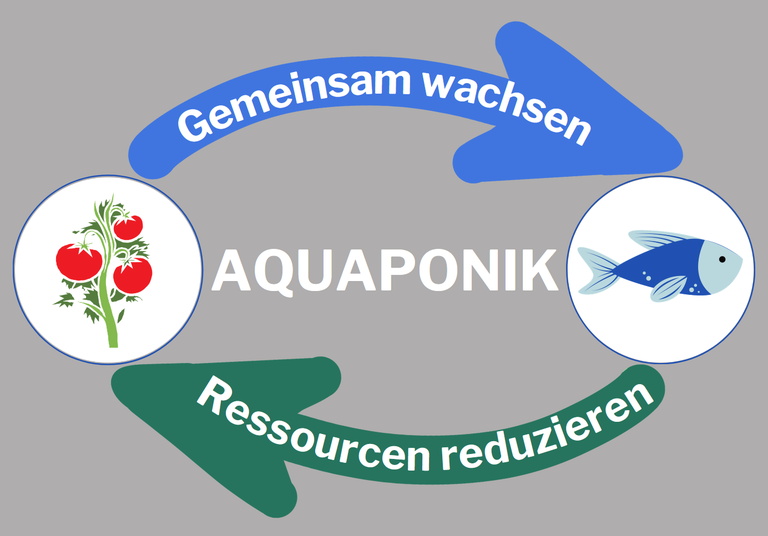 Aquaponic Label (1).png