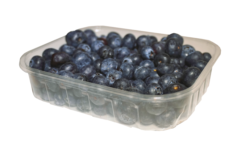 Blueberries_plastic2_new.png