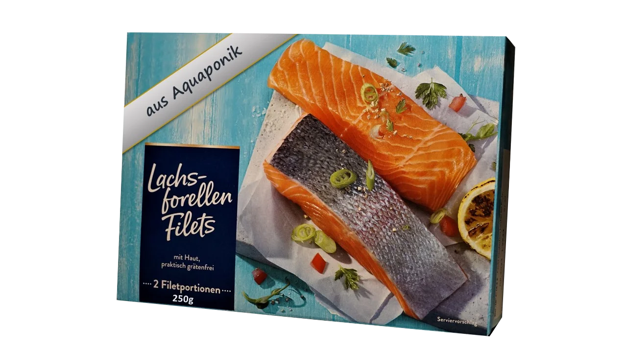 Fisch_conv.png