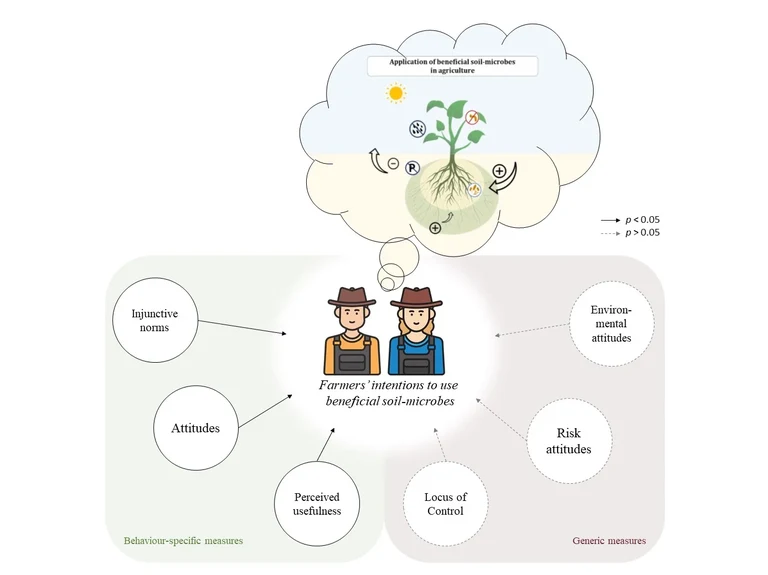graphical abstract.jpg