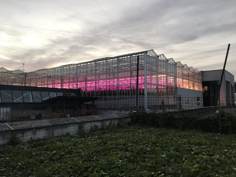 Aquaponic_Farm_Brussels.jpg