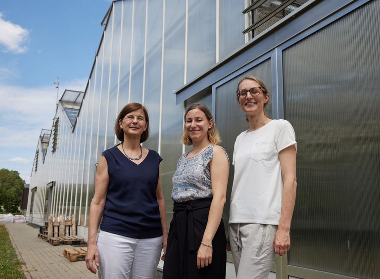 Bio-based technologies
