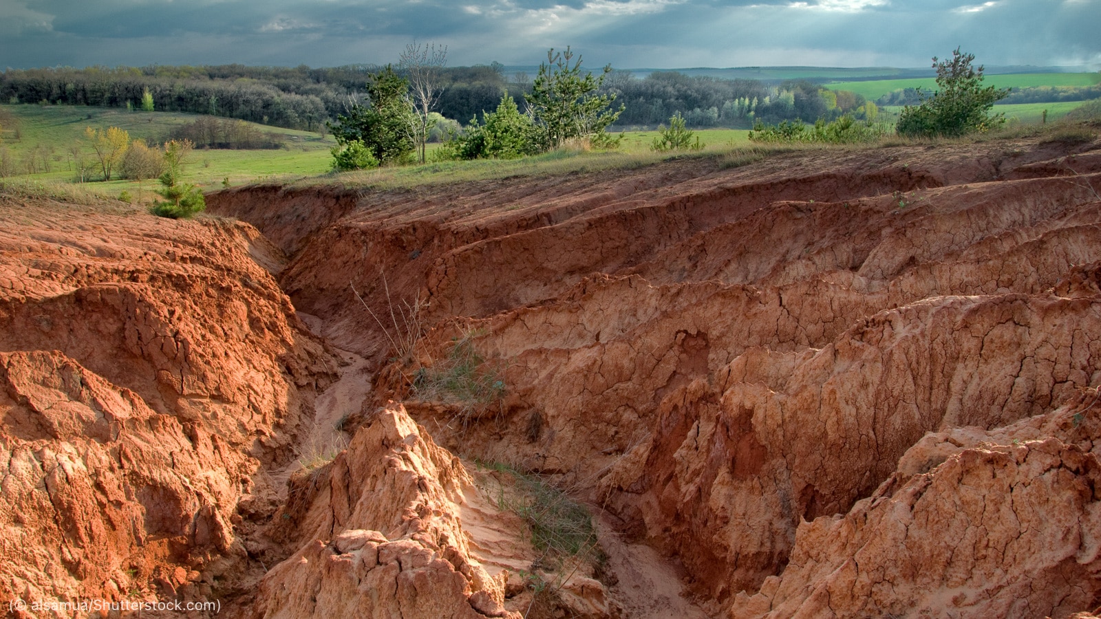 Land Conditions