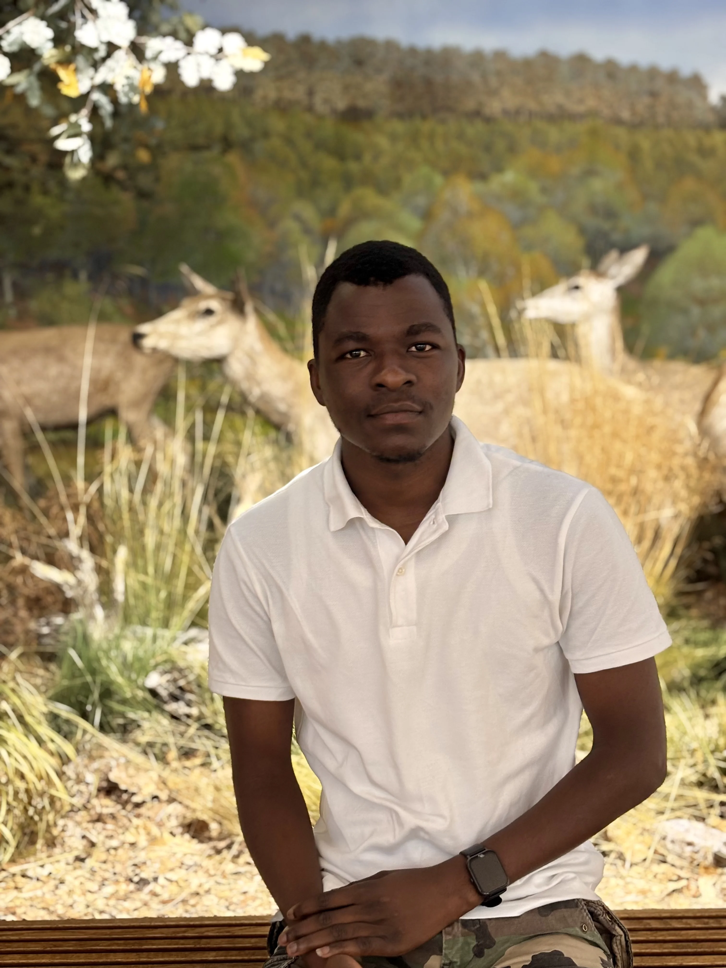 Bignon William TOSSOU