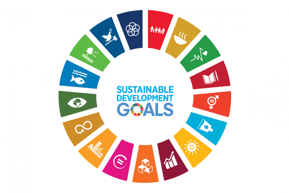 sdg-wheel-landscape- EU page.png