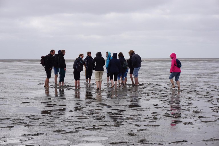Wadden sea.jpeg