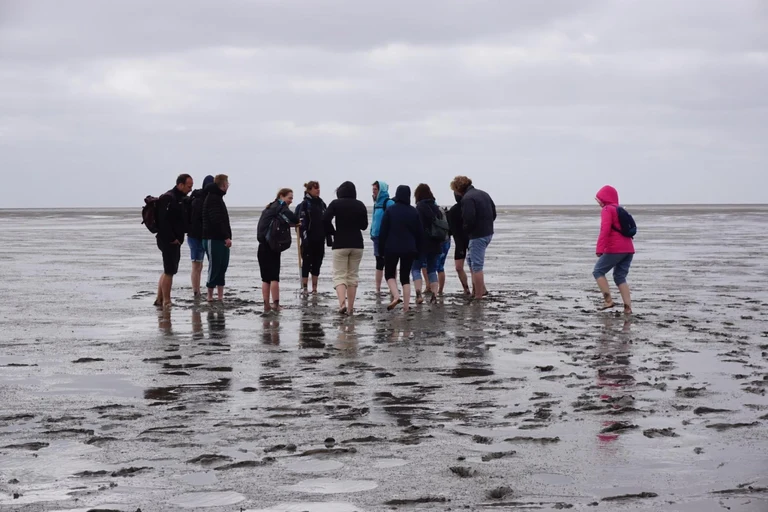Wadden sea.jpeg