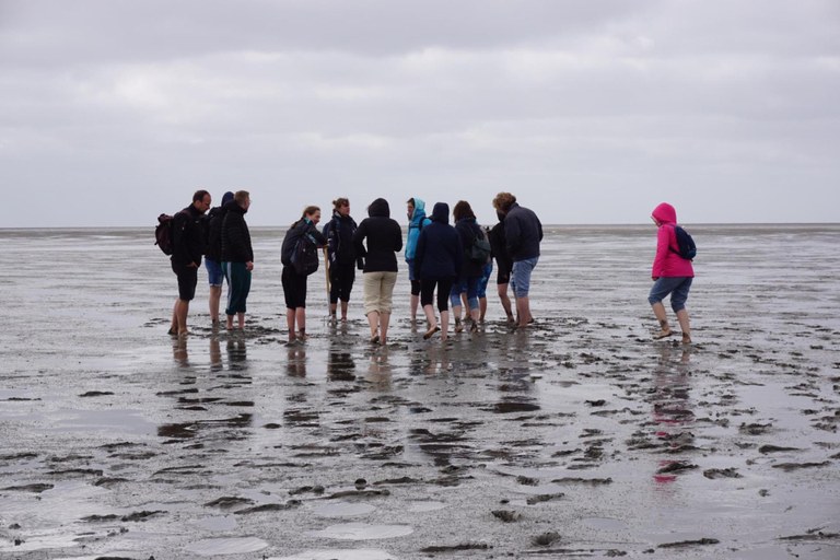 Wadden sea.jpeg