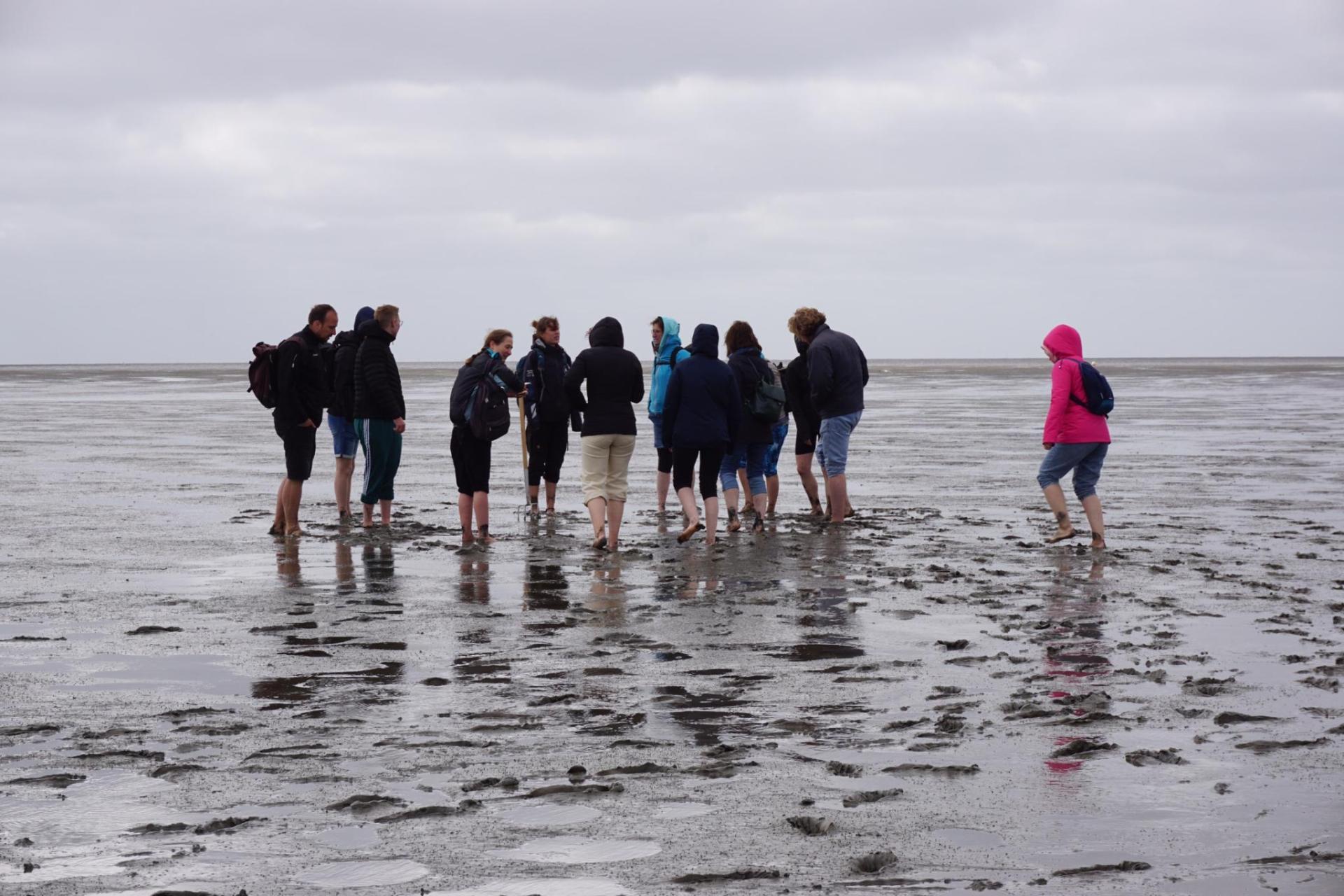 Wadden sea.jpeg