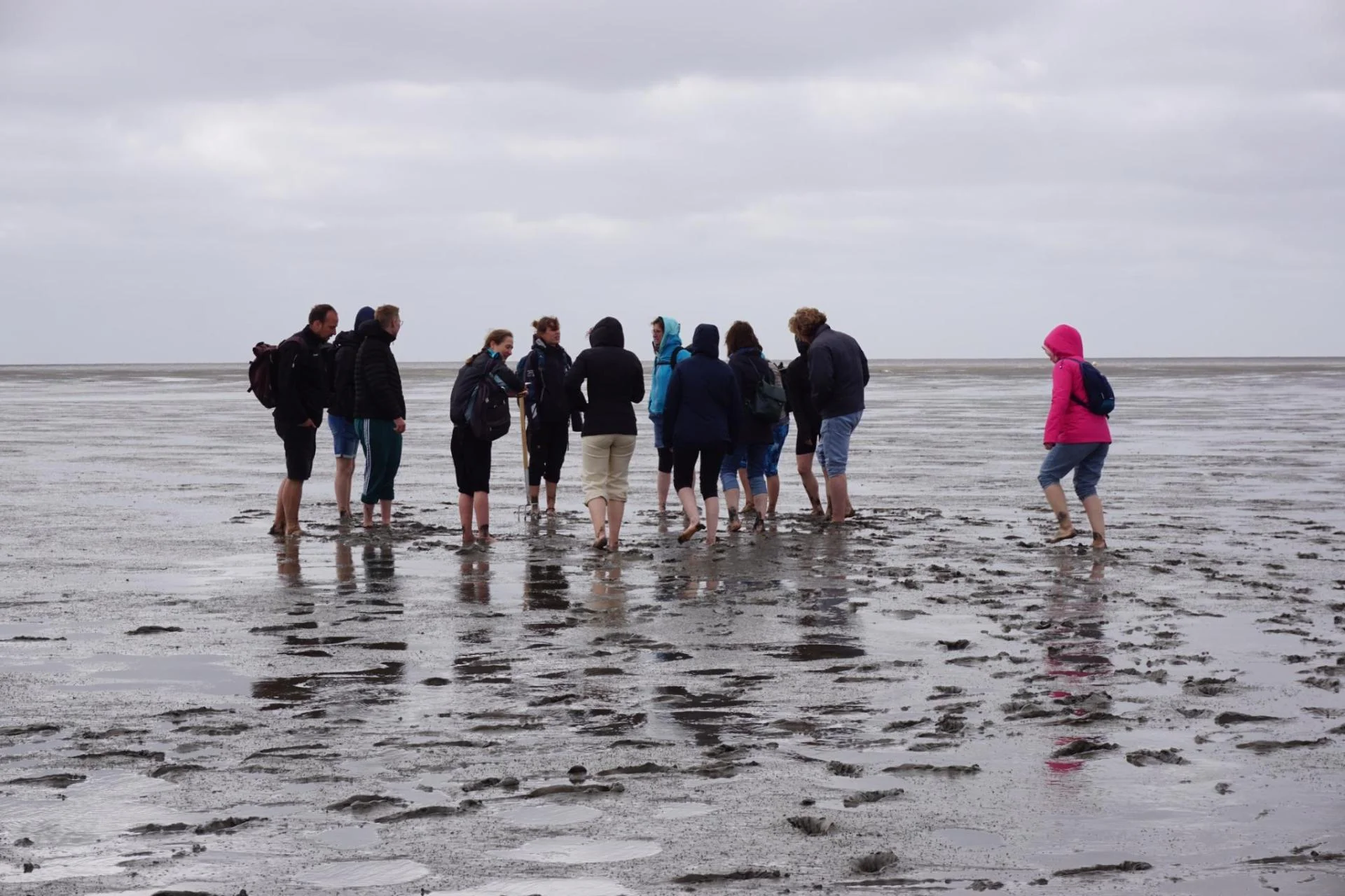 Wadden sea.jpeg