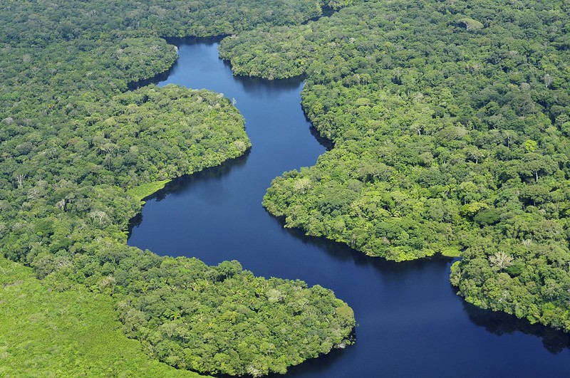 Amazon from air