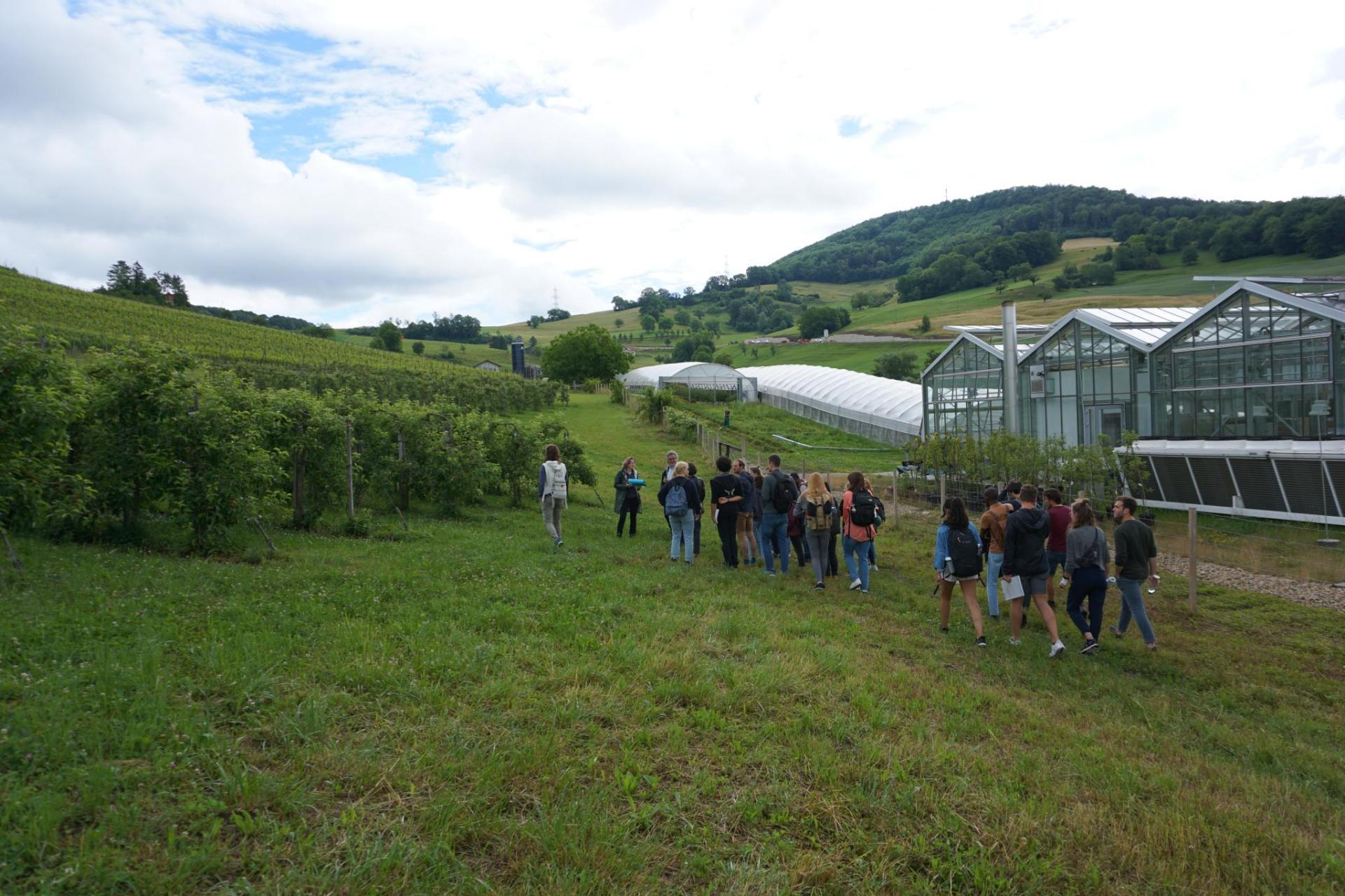 ag_fruit trees and strudnets CH.jfif