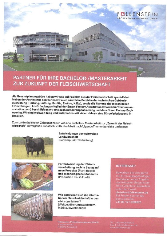 Falkenstein Projektmanagement_Bachelor/Master Thesis